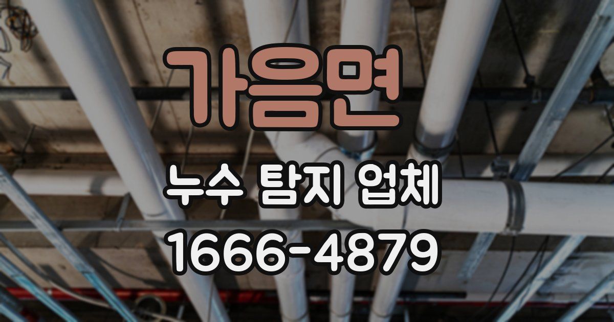가음면 누수 탐지 업체