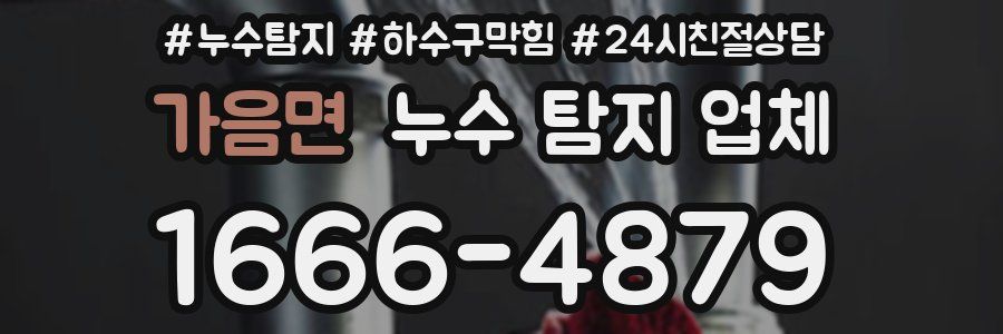 가음면 누수 탐지 업체