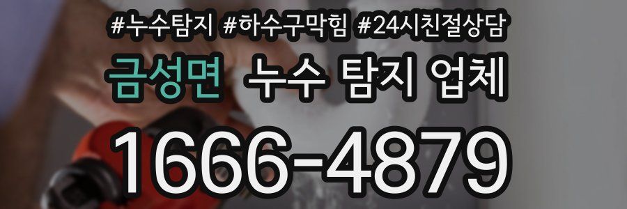 금성면 누수 탐지 업체