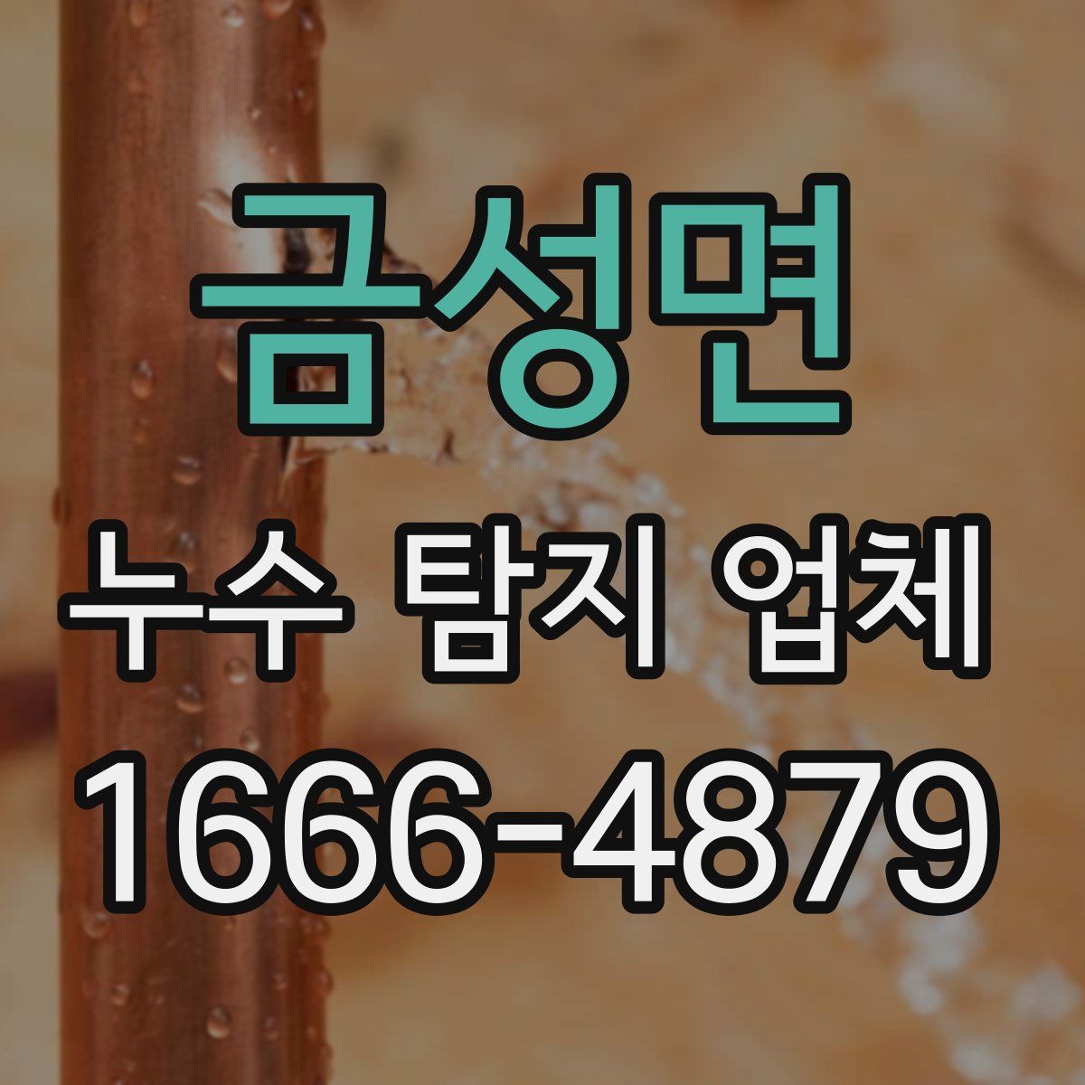 금성면 누수 탐지 업체