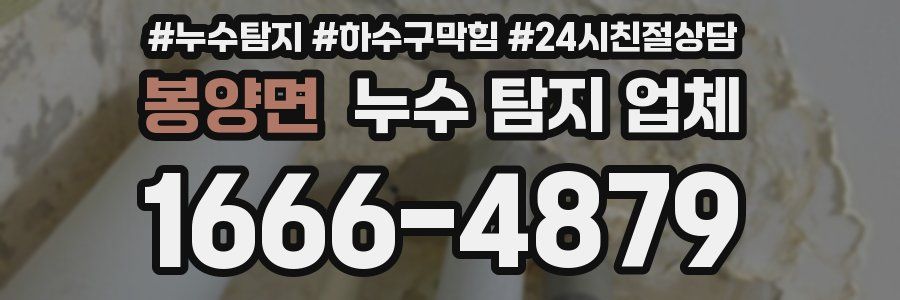 봉양면 누수 탐지 업체
