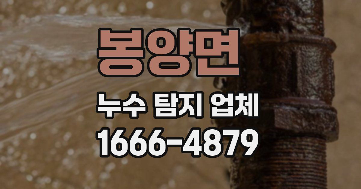 봉양면 누수 탐지 업체