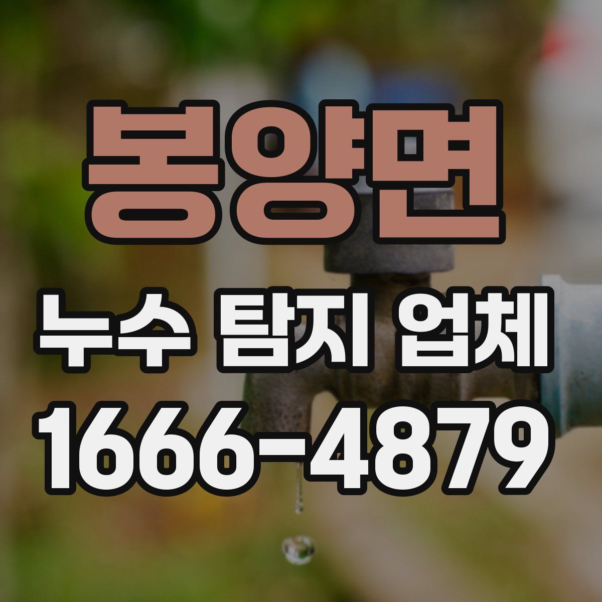 봉양면 누수 탐지 업체