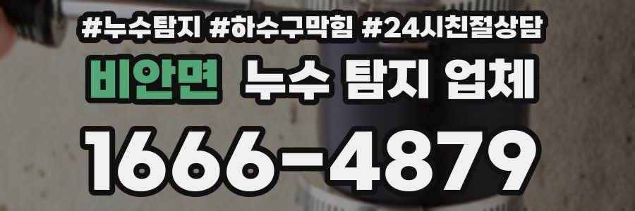 비안면 누수 탐지 업체