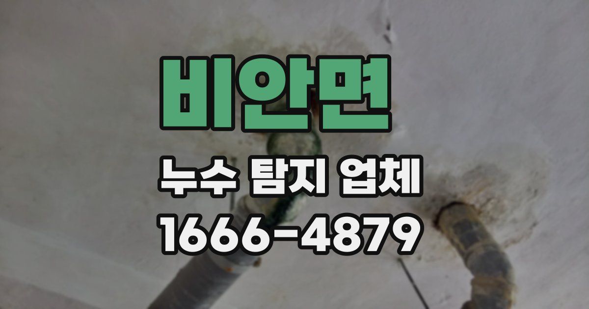 비안면 누수 탐지 업체