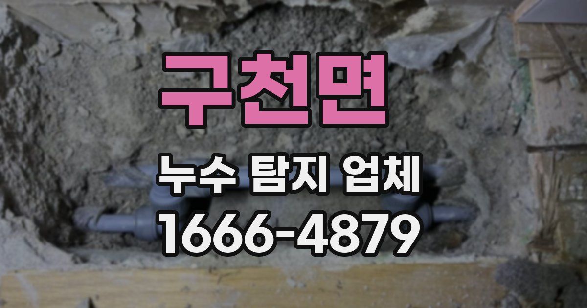 구천면 누수 탐지 업체