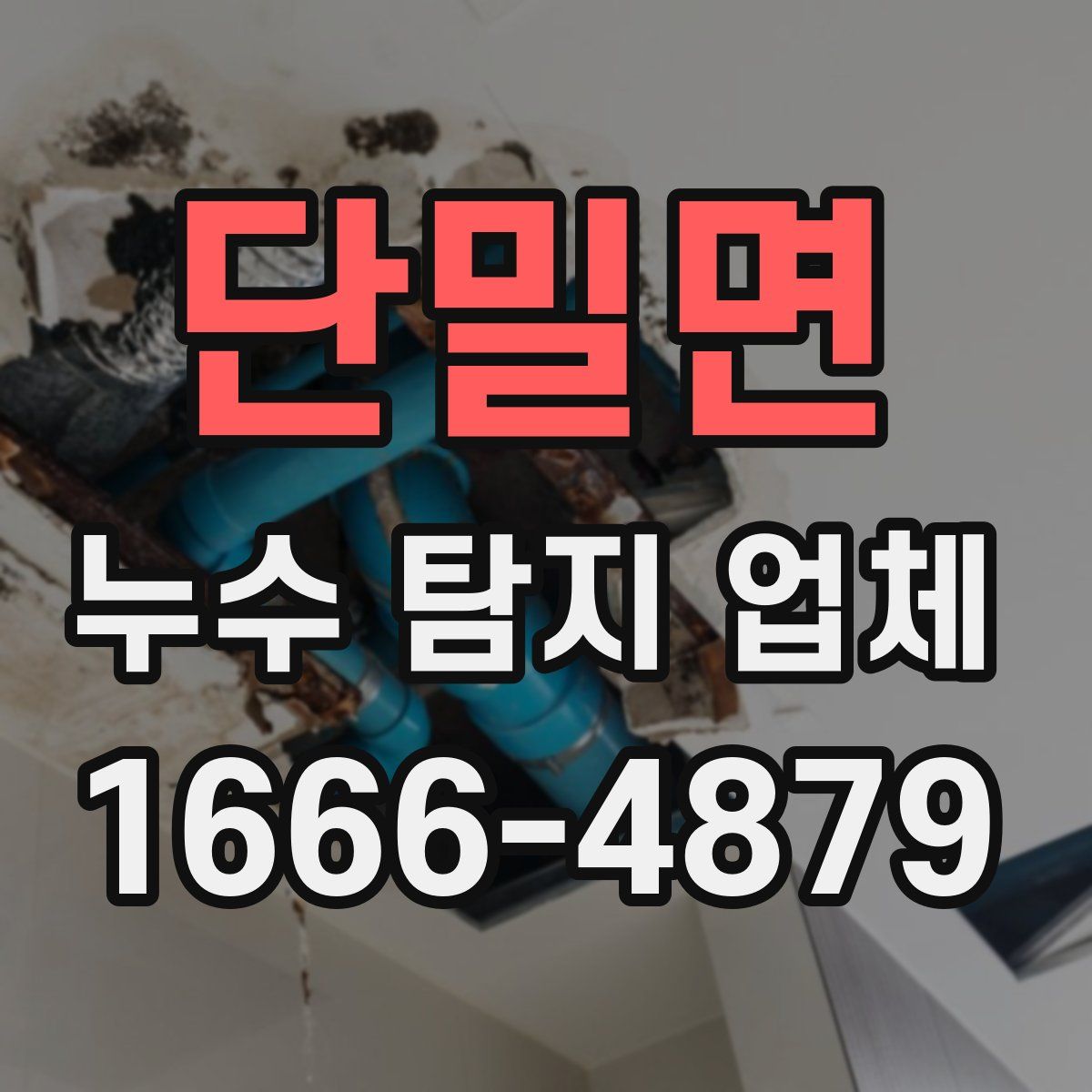 단밀면 누수 탐지 업체