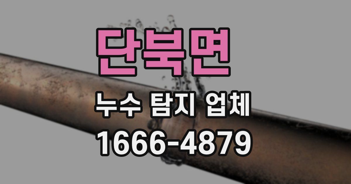 단북면 누수 탐지 업체