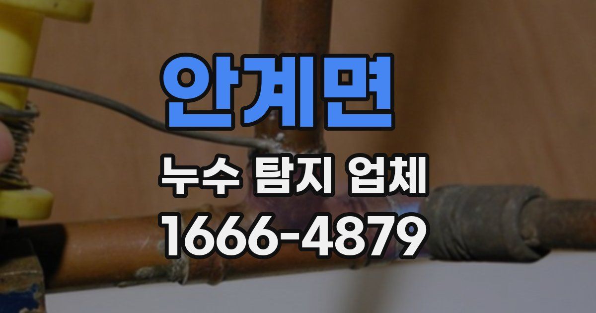 안계면 누수 탐지 업체