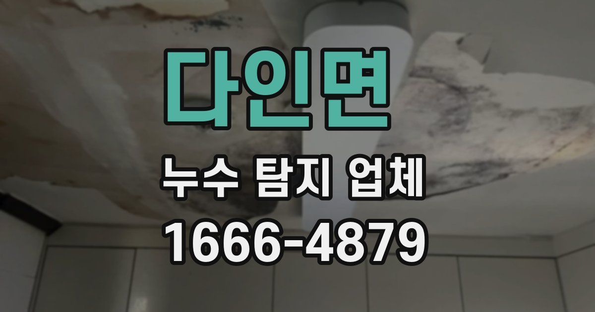 다인면 누수 탐지 업체