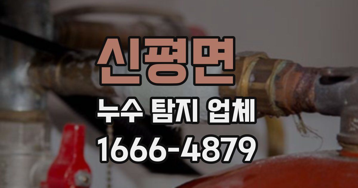신평면 누수 탐지 업체