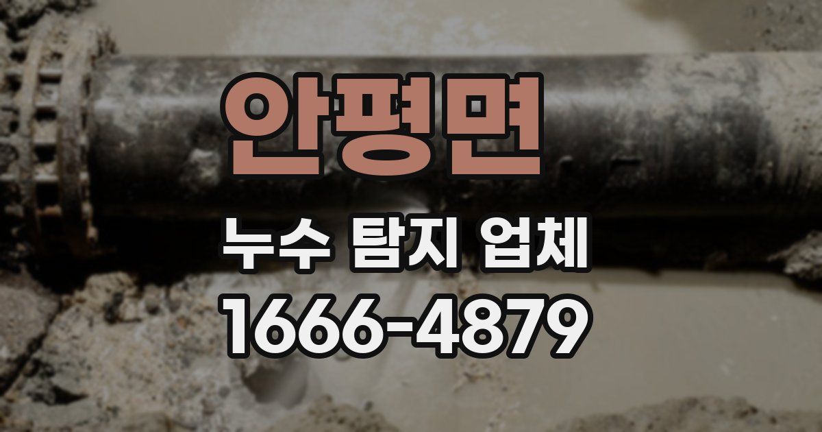 안평면 누수 탐지 업체