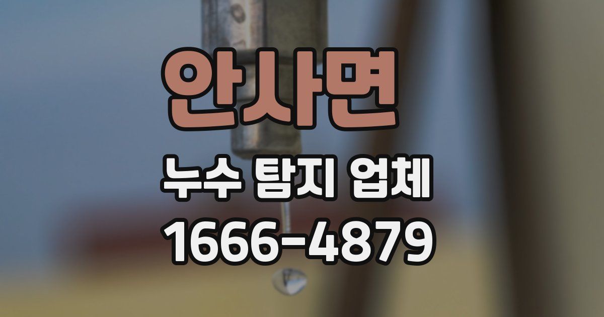 안사면 누수 탐지 업체