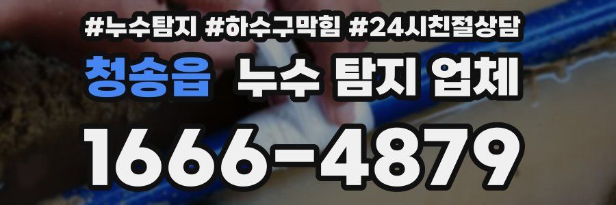 청송읍 누수 탐지 업체