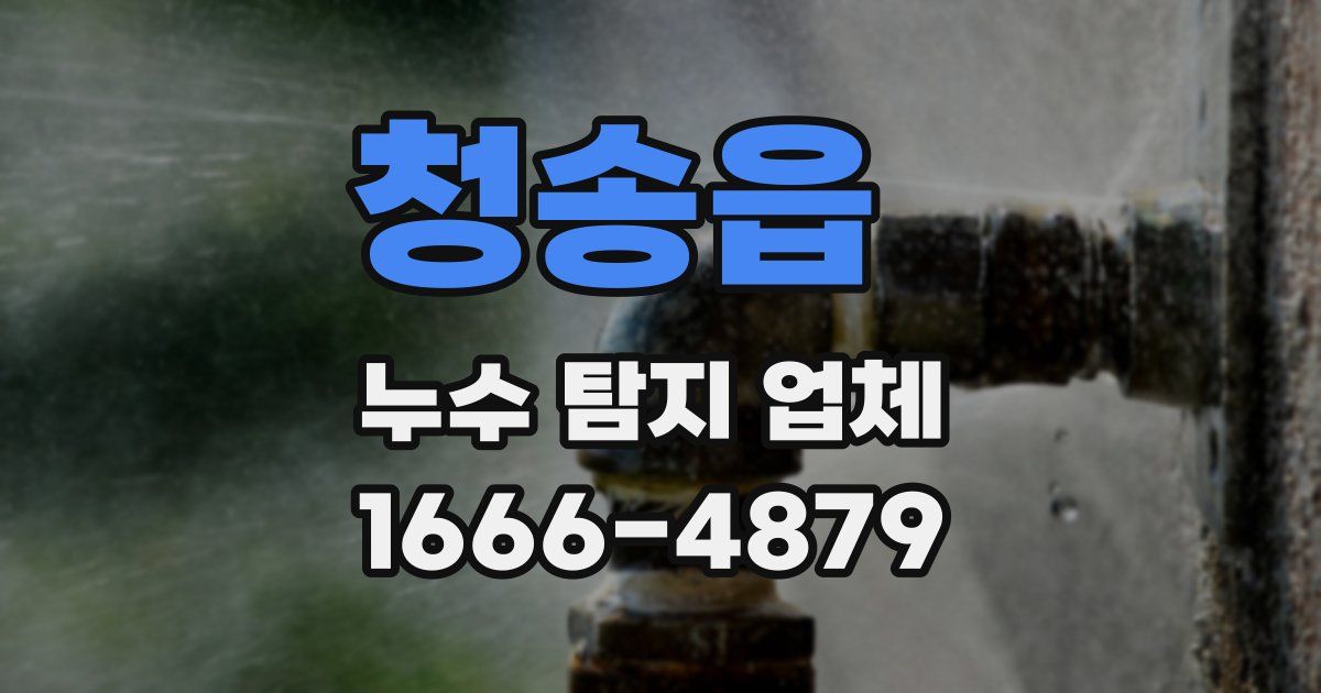 청송읍 누수 탐지 업체