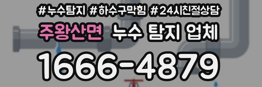 주왕산면 누수 탐지 업체