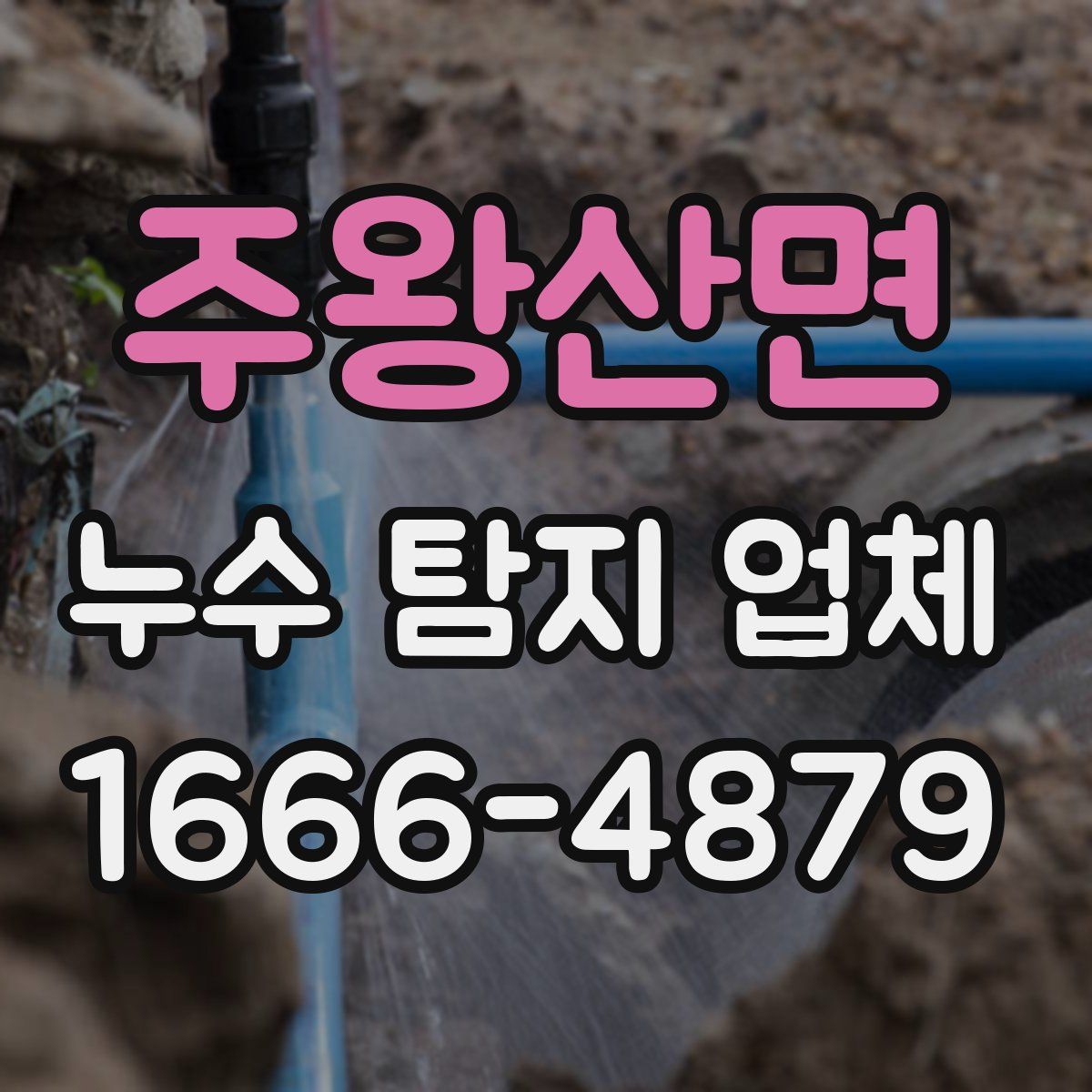 주왕산면 누수 탐지 업체