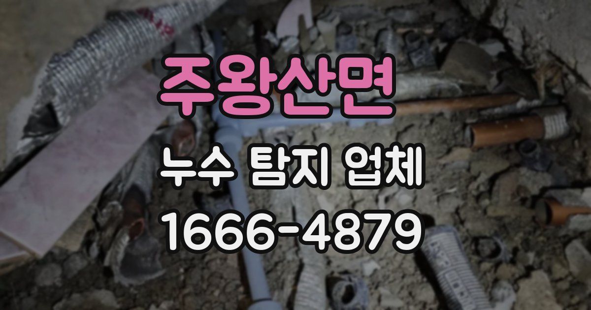 주왕산면 누수 탐지 업체