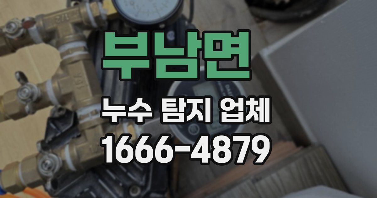 부남면 누수 탐지 업체