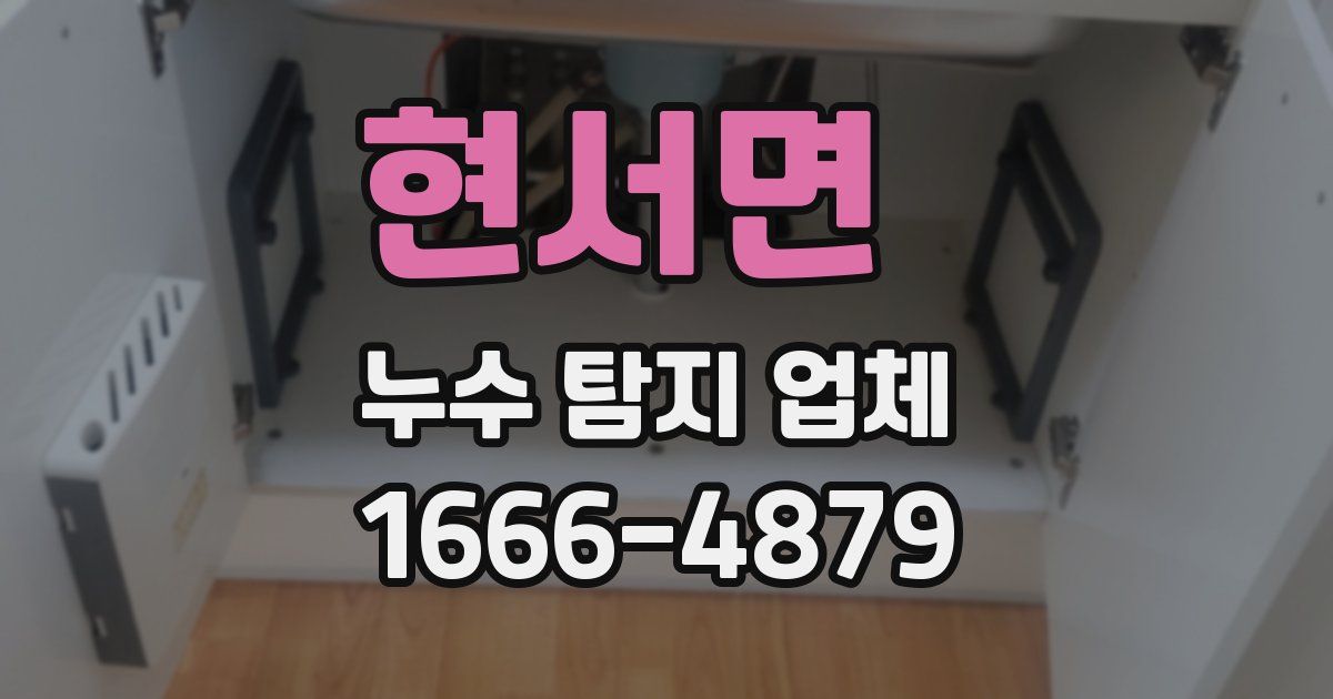 현서면 누수 탐지 업체