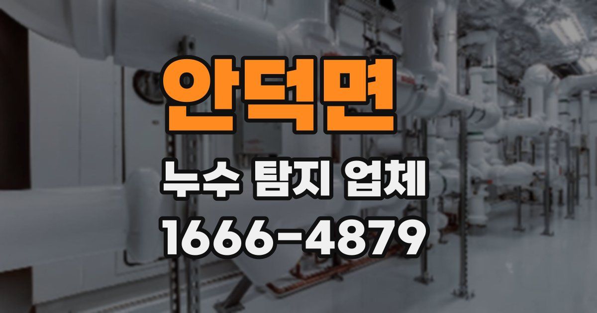 안덕면 누수 탐지 업체