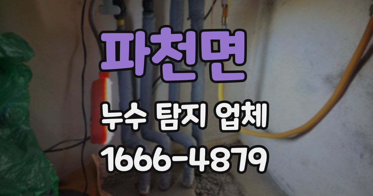 파천면 누수 탐지 업체
