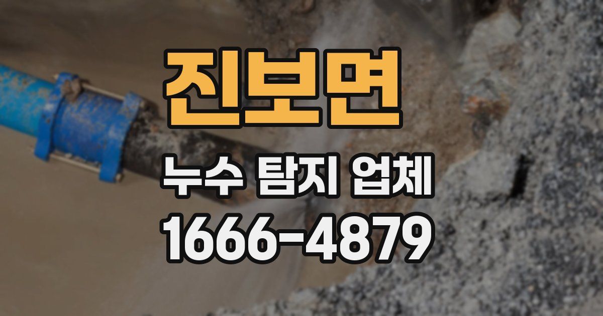 진보면 누수 탐지 업체