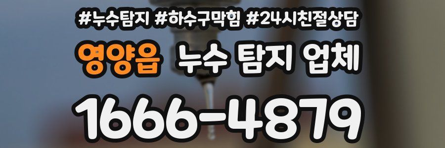 영양읍 누수 탐지 업체