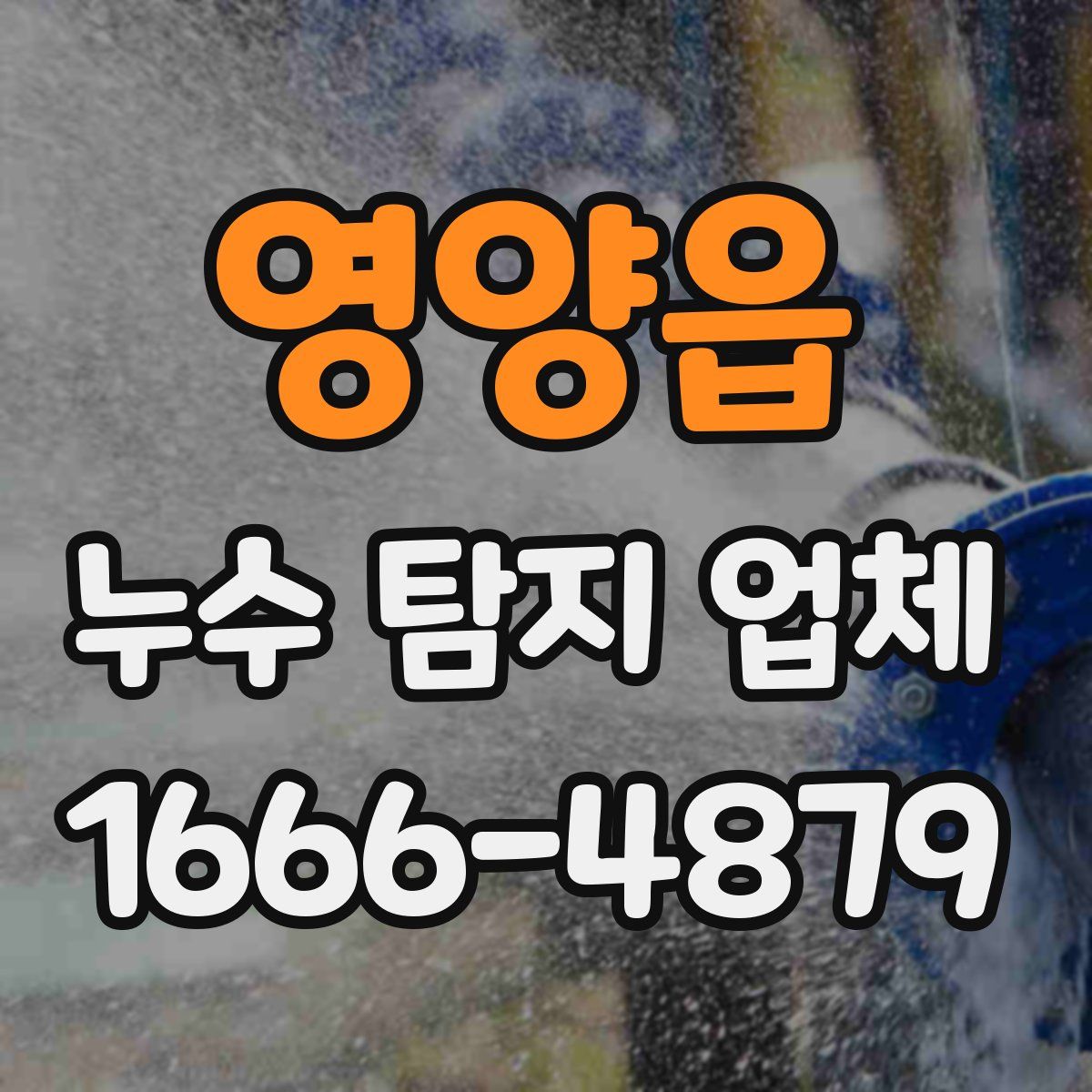 영양읍 누수 탐지 업체