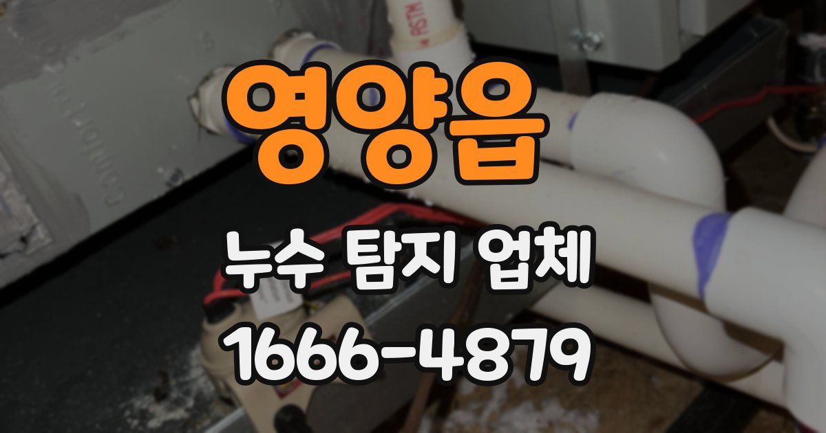 영양읍 누수 탐지 업체