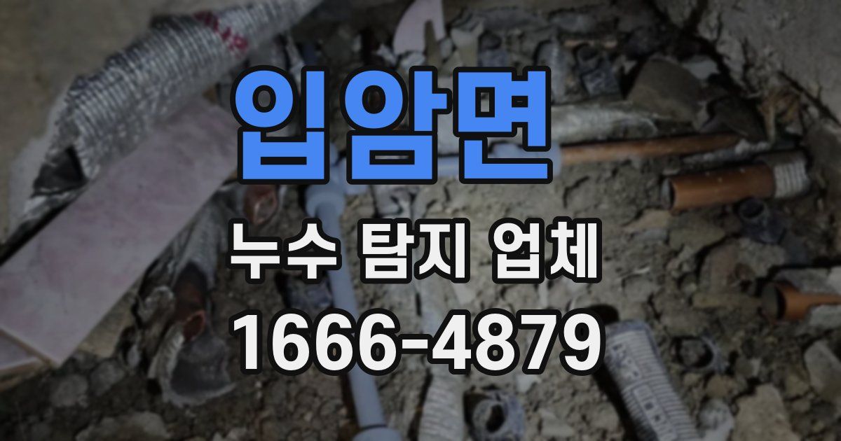 입암면 누수 탐지 업체
