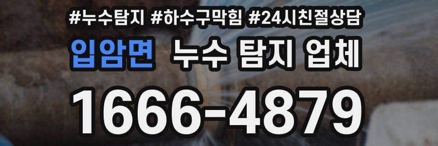 입암면 누수 탐지 업체