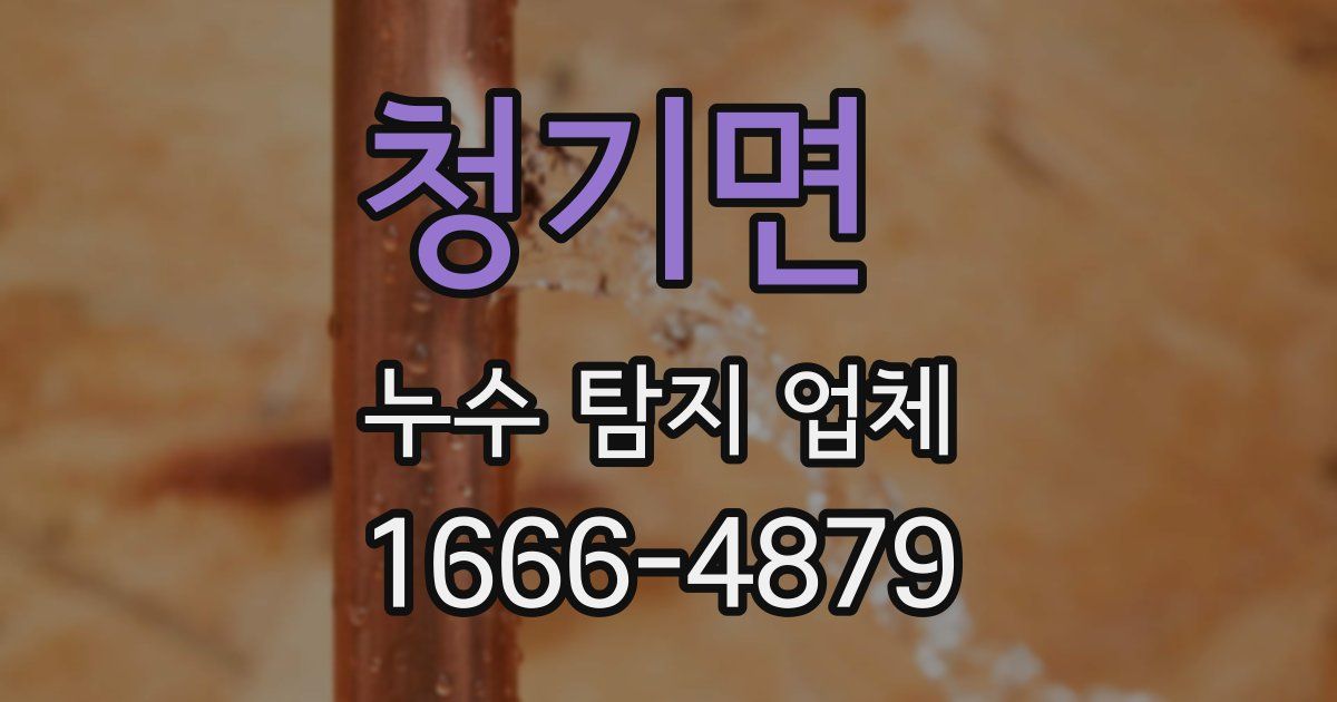 청기면 누수 탐지 업체