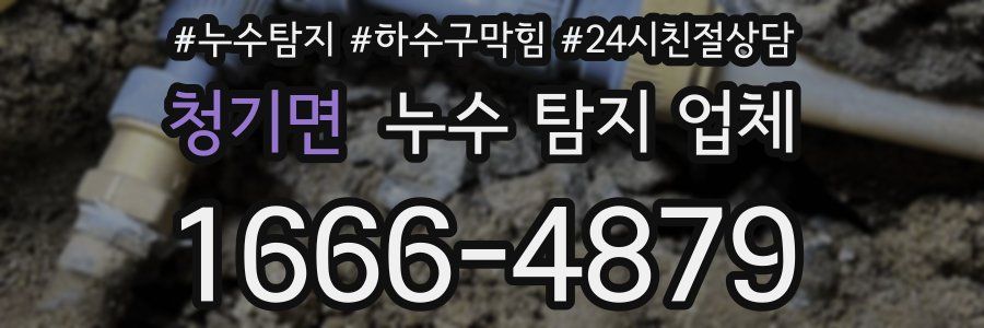 청기면 누수 탐지 업체