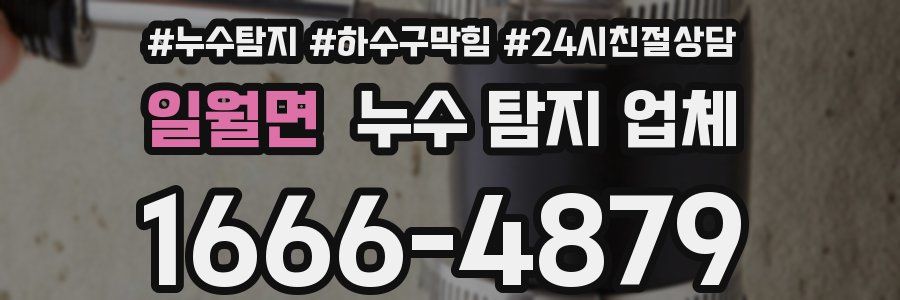 일월면 누수 탐지 업체