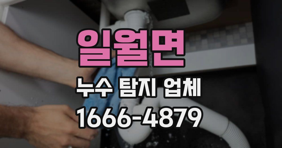일월면 누수 탐지 업체