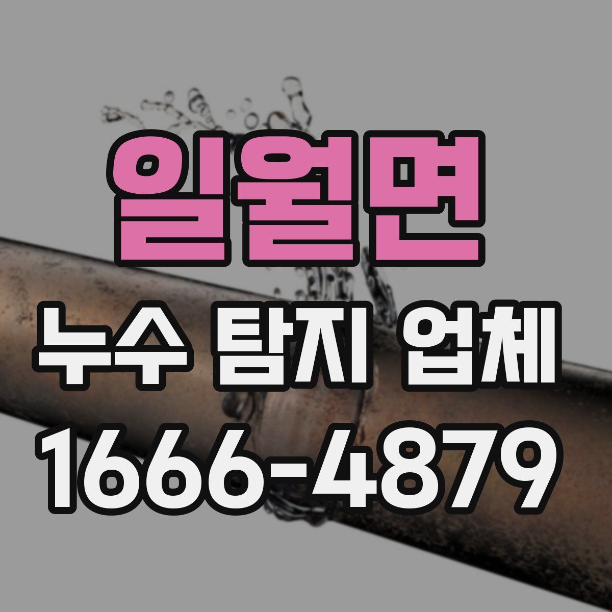 일월면 누수 탐지 업체