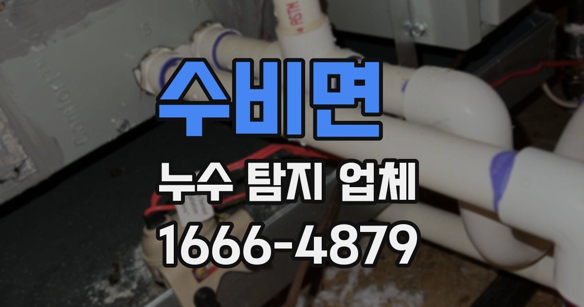 수비면 누수 탐지 업체