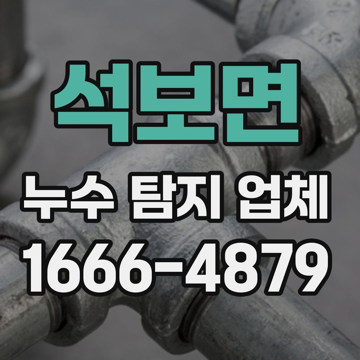 석보면 누수 탐지 업체