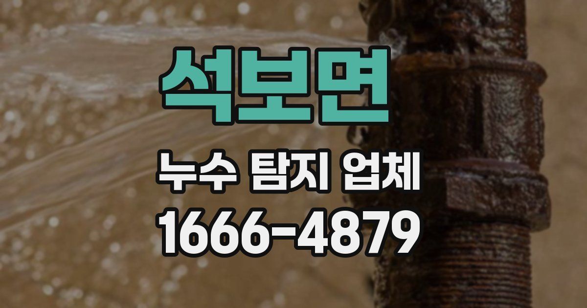 석보면 누수 탐지 업체