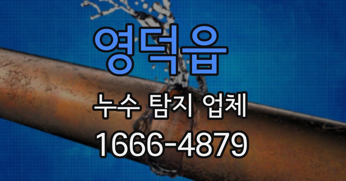 영덕읍 누수 탐지 업체