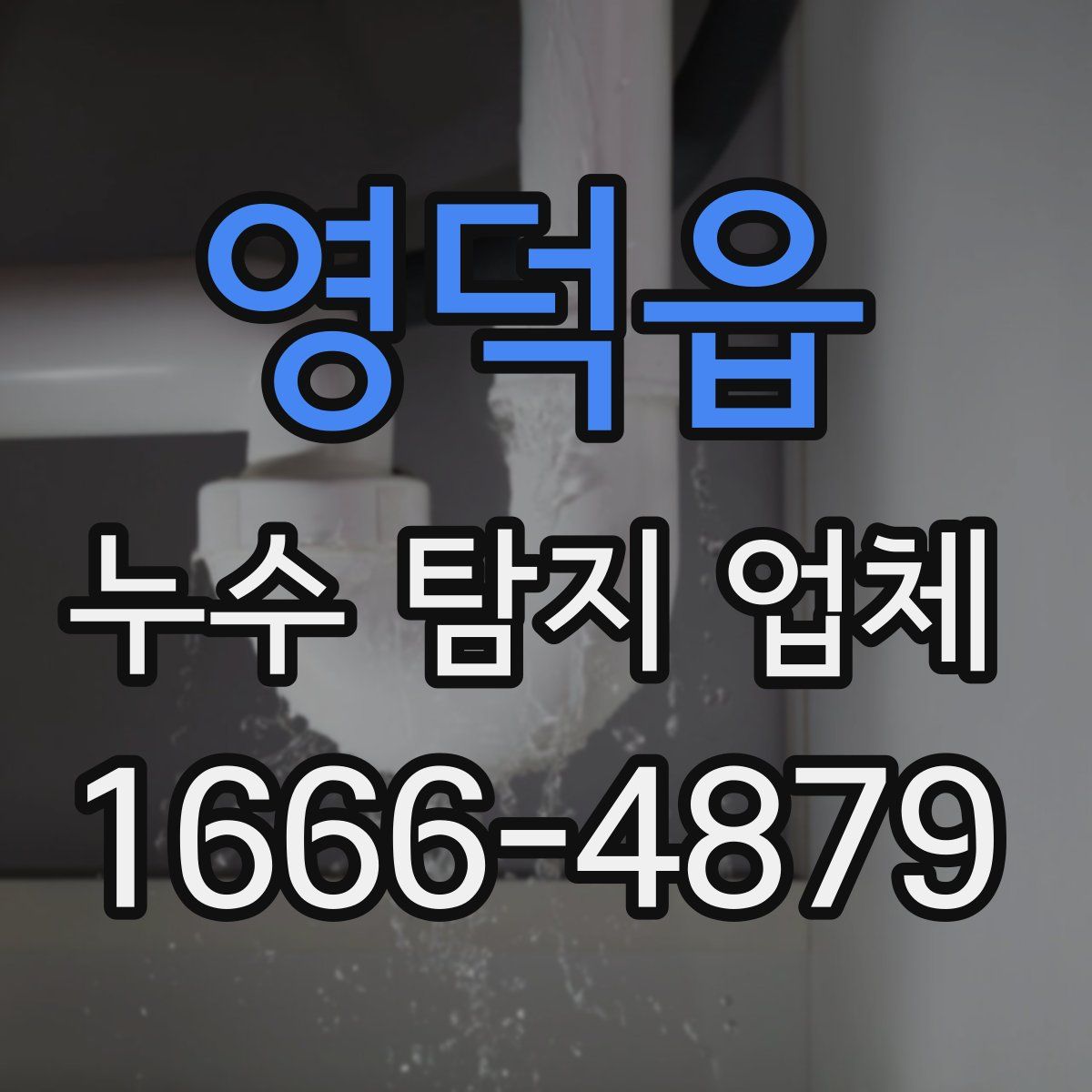 영덕읍 누수 탐지 업체