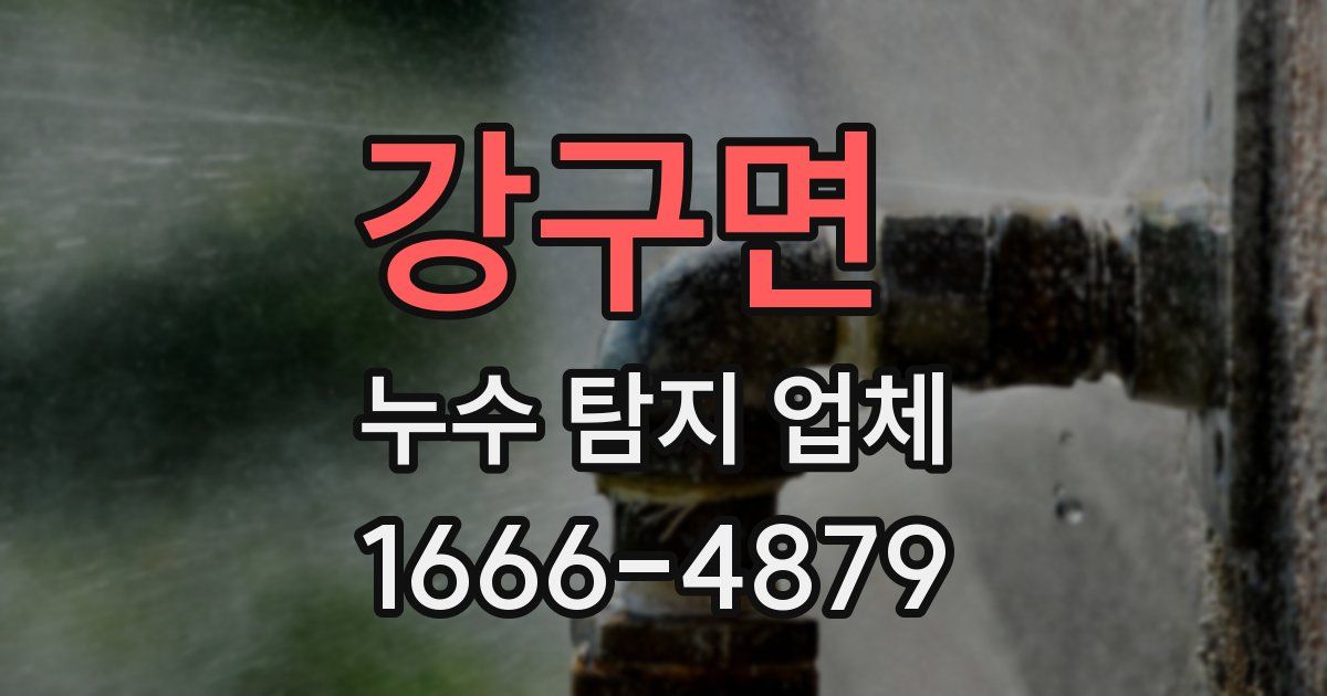 강구면 누수 탐지 업체