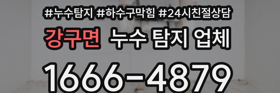 강구면 누수 탐지 업체