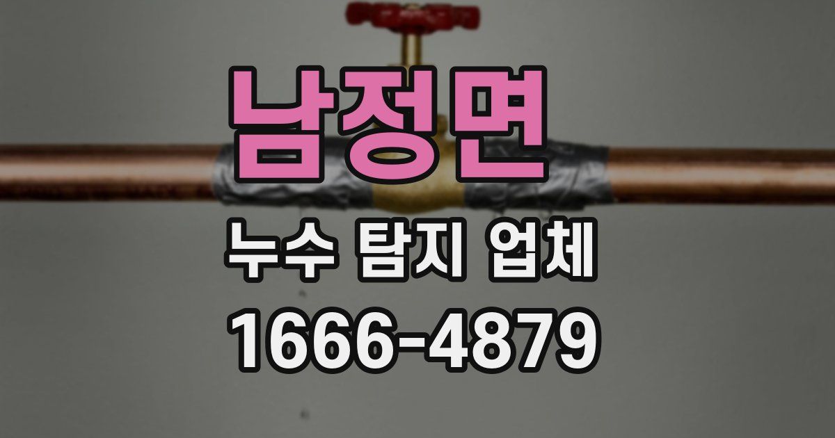 남정면 누수 탐지 업체