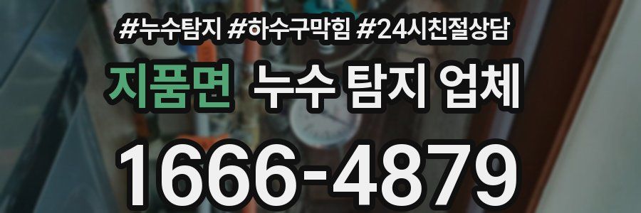 지품면 누수 탐지 업체