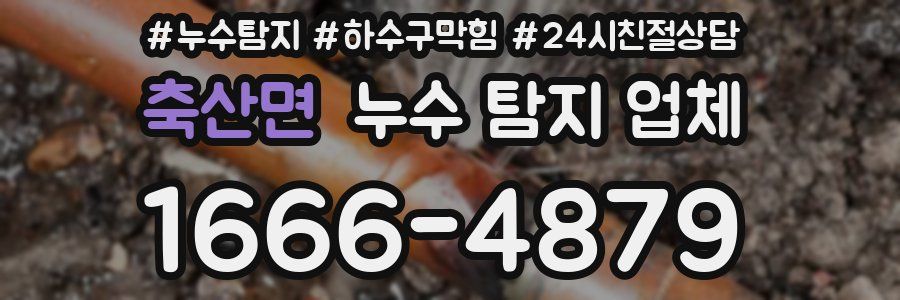 축산면 누수 탐지 업체