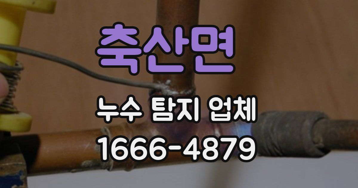 축산면 누수 탐지 업체