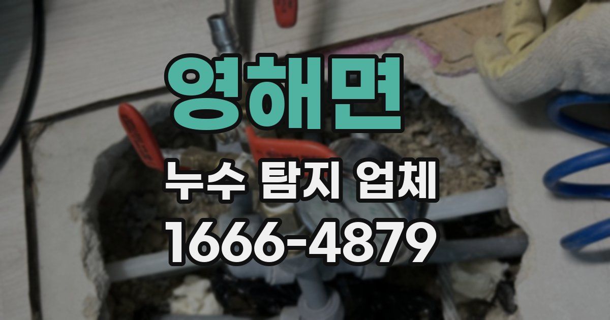 영해면 누수 탐지 업체