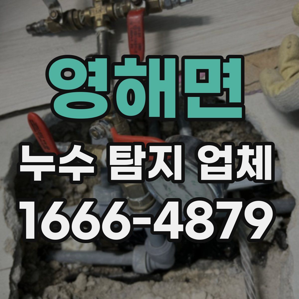 영해면 누수 탐지 업체
